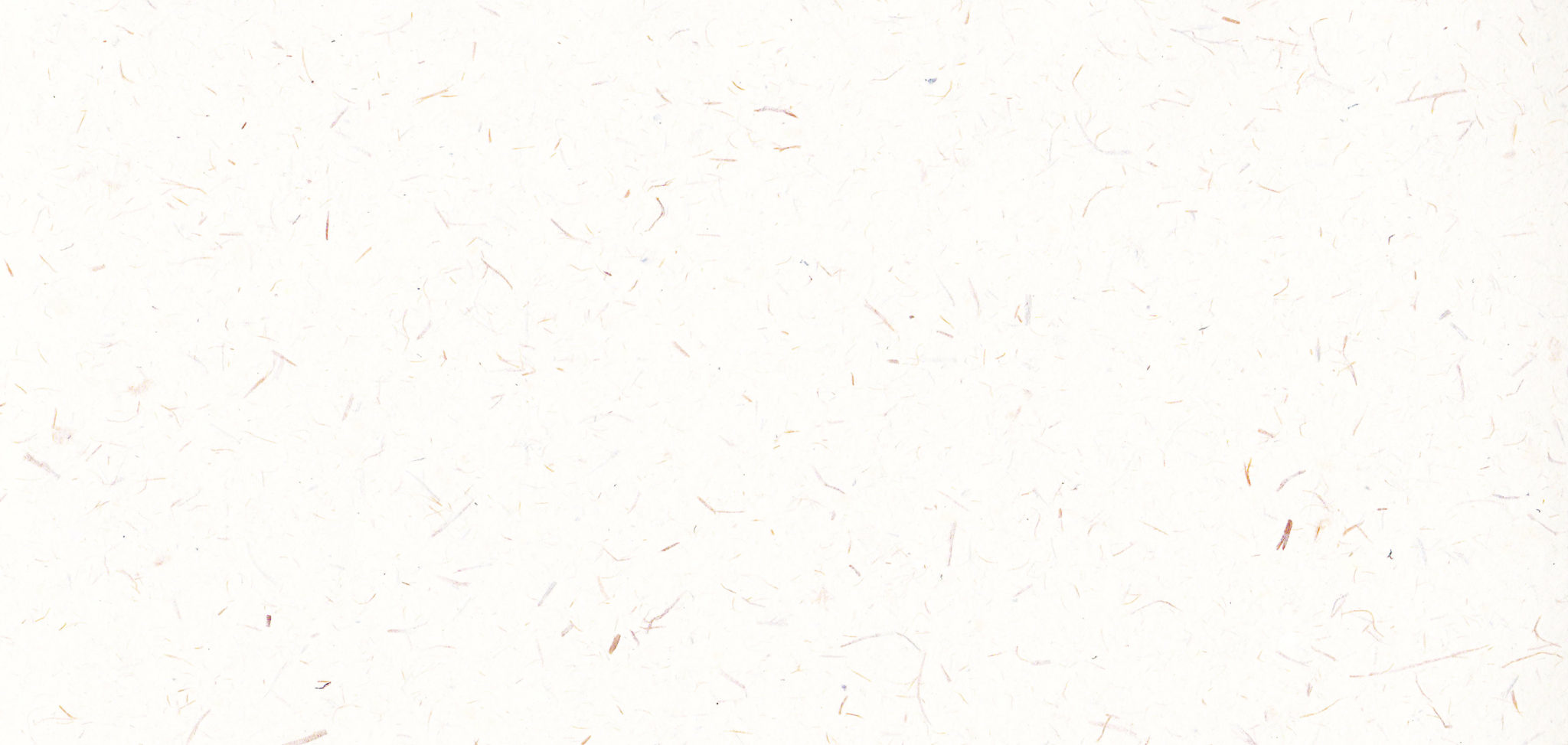 fond papier