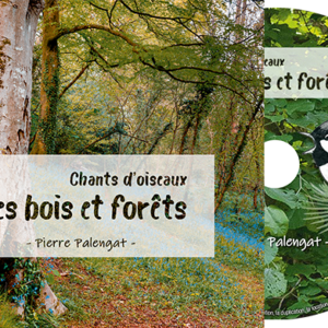 Forêts v2 – pochetteCD