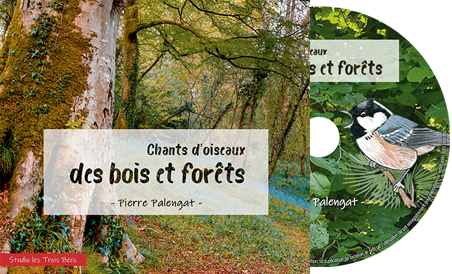 Forêts v2 – pochetteCD