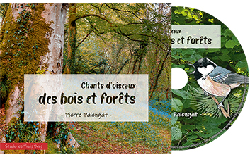 Chants d'oiseaux des bois et forêts