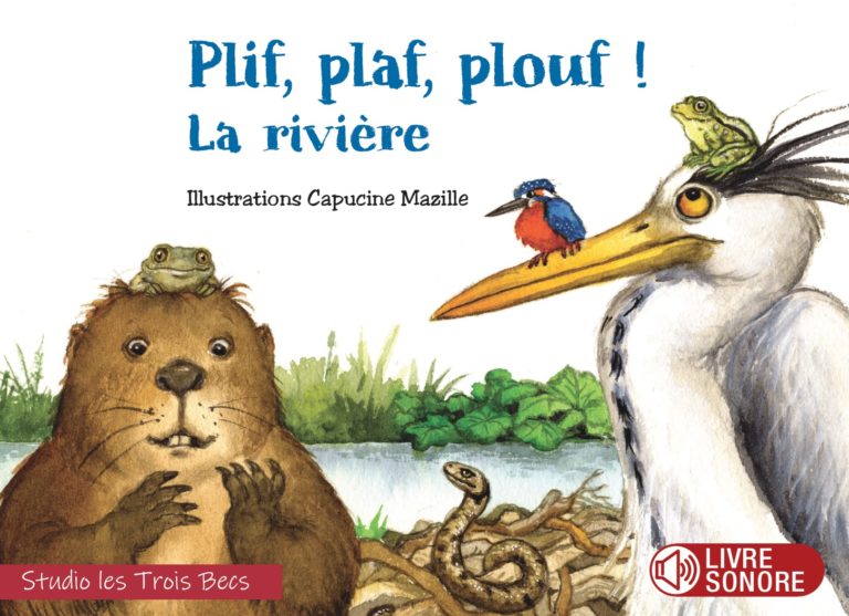 couv plif plaf