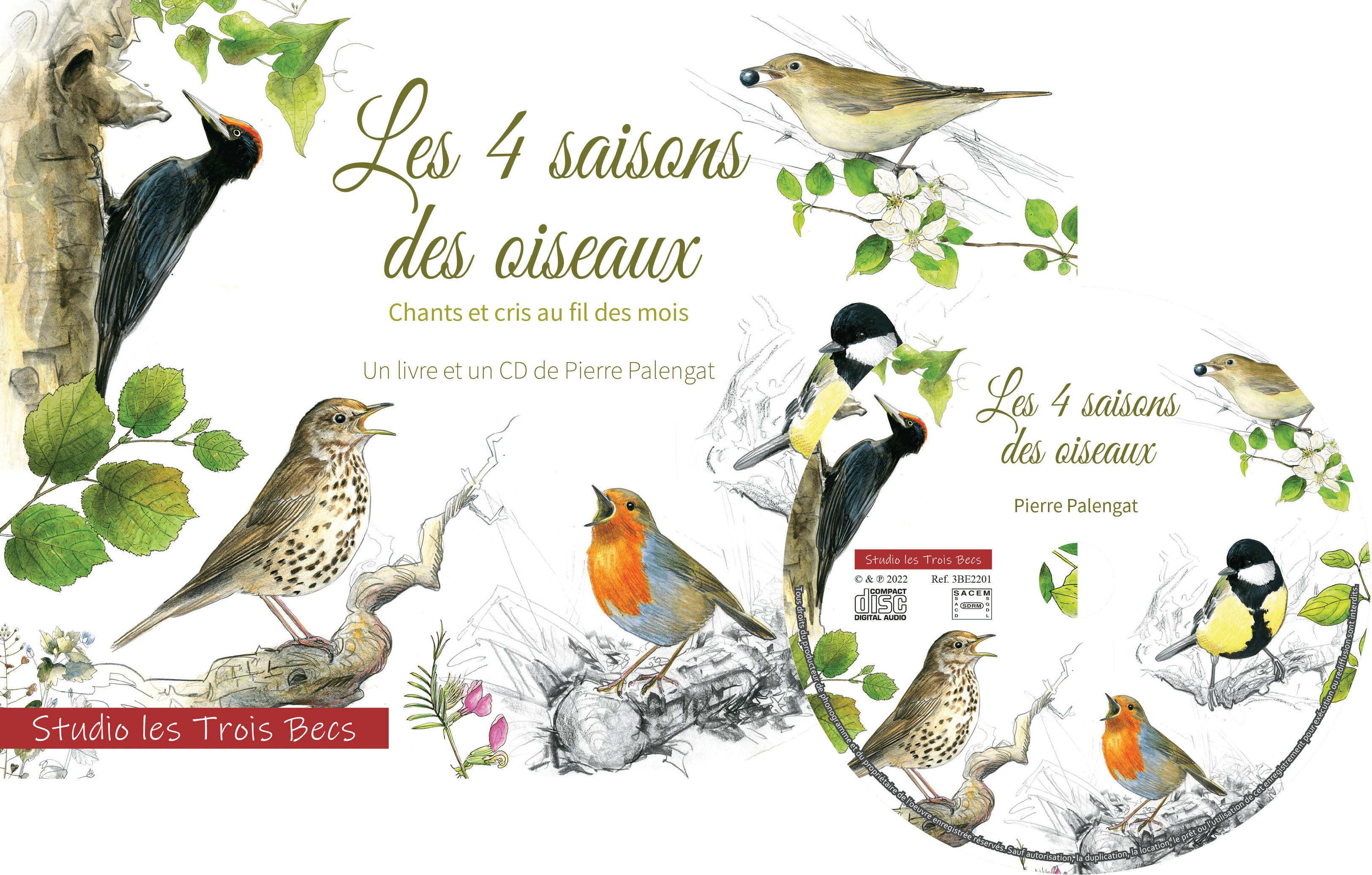 Le mélange idéal pour observer les oiseaux - Oiseau de jardin mix 4 saisons